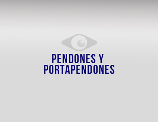TITULO PENDONES